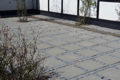 20150418_140207_resized
